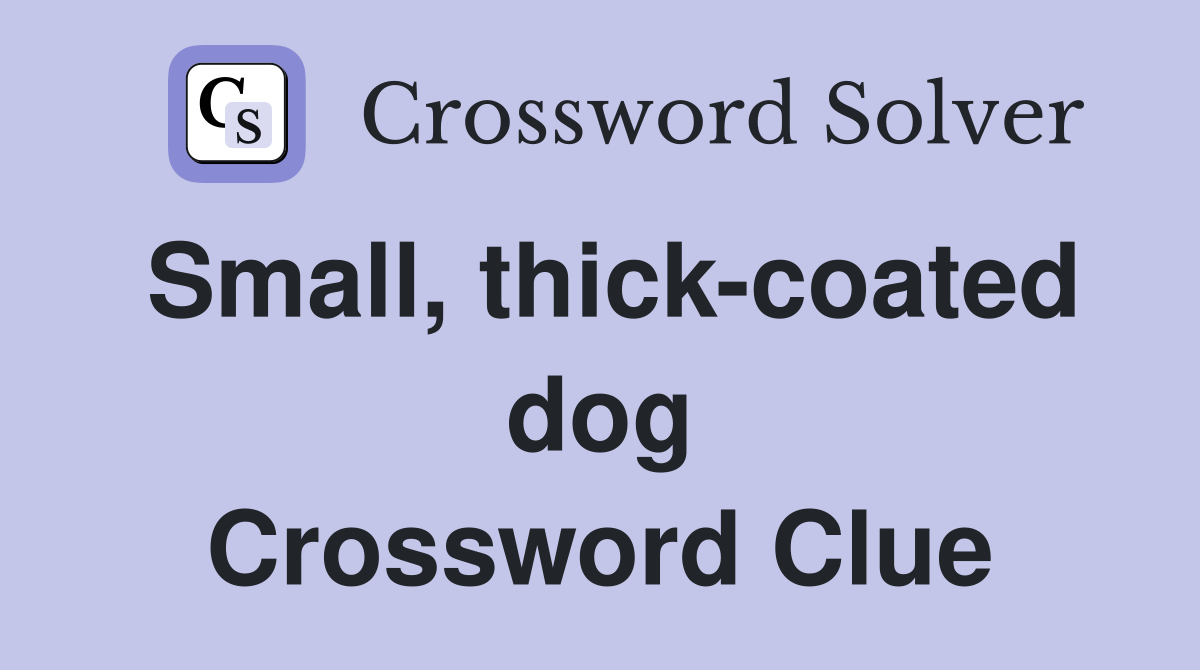 Small, thick-coated dog Crossword Clue