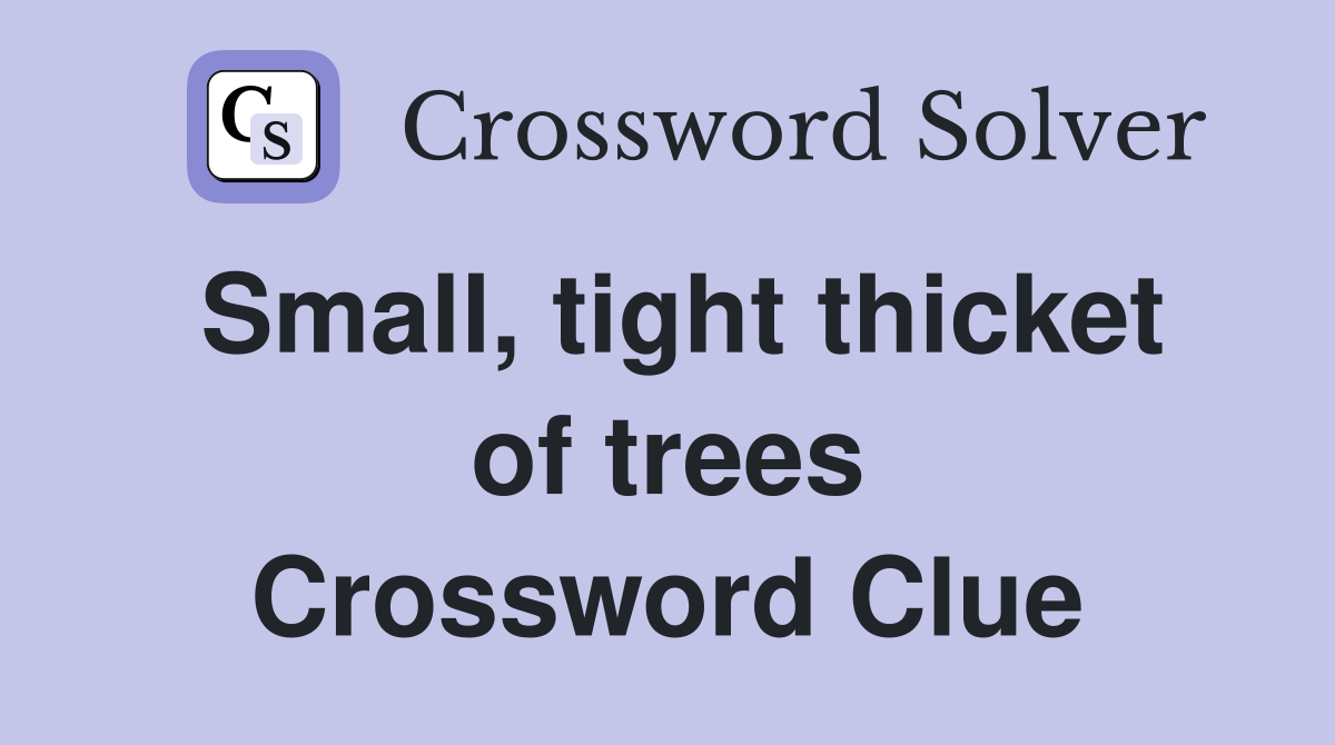 Small, tight thicket of trees Crossword Clue