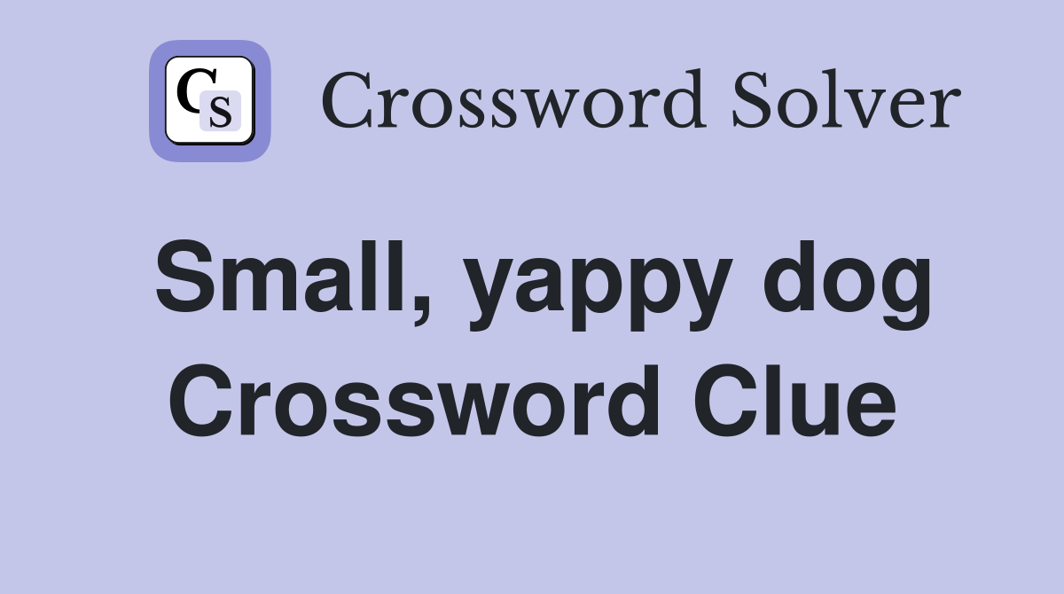 Small, yappy dog Crossword Clue