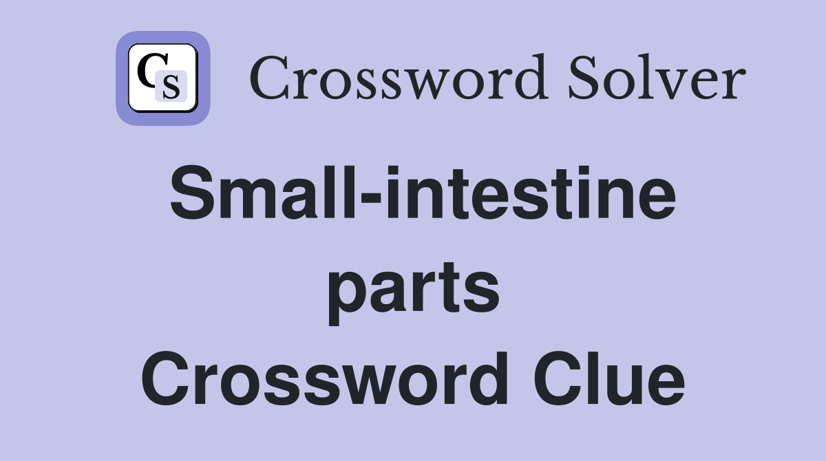 Small-intestine parts Crossword Clue
