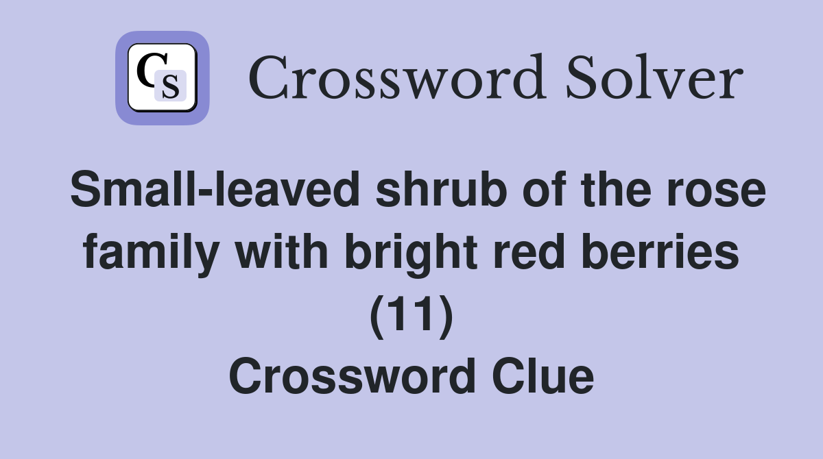 Small-leaved shrub of the rose family with bright red berries (11) Crossword Clue