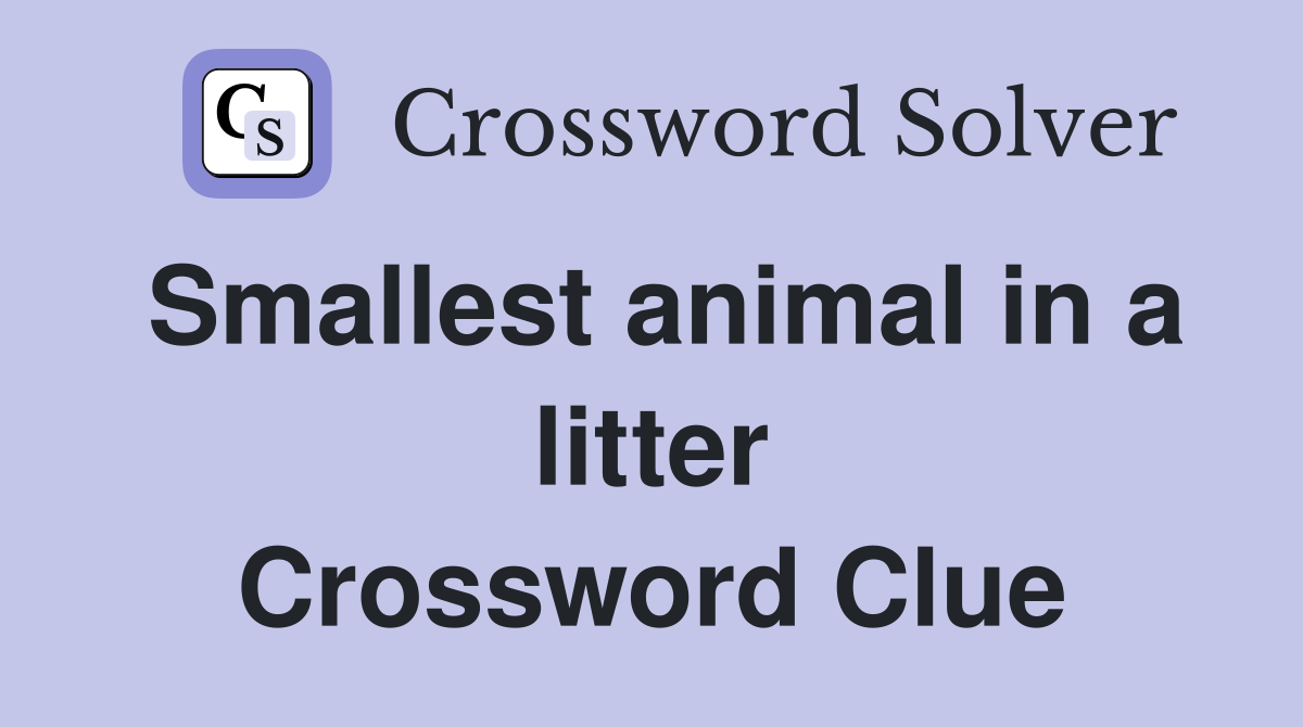 Smallest animal in a litter Crossword Clue