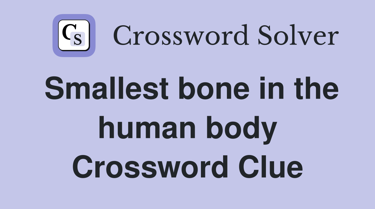 Smallest bone in the human body Crossword Clue