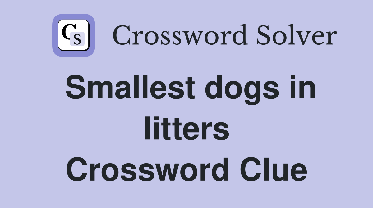Smallest dogs in litters Crossword Clue