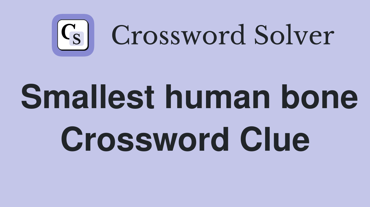 Smallest human bone Crossword Clue