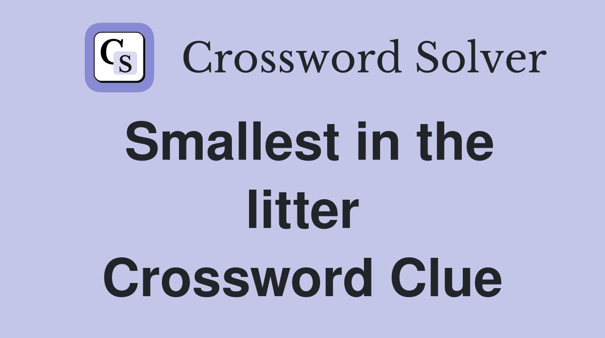 Smallest in the litter Crossword Clue