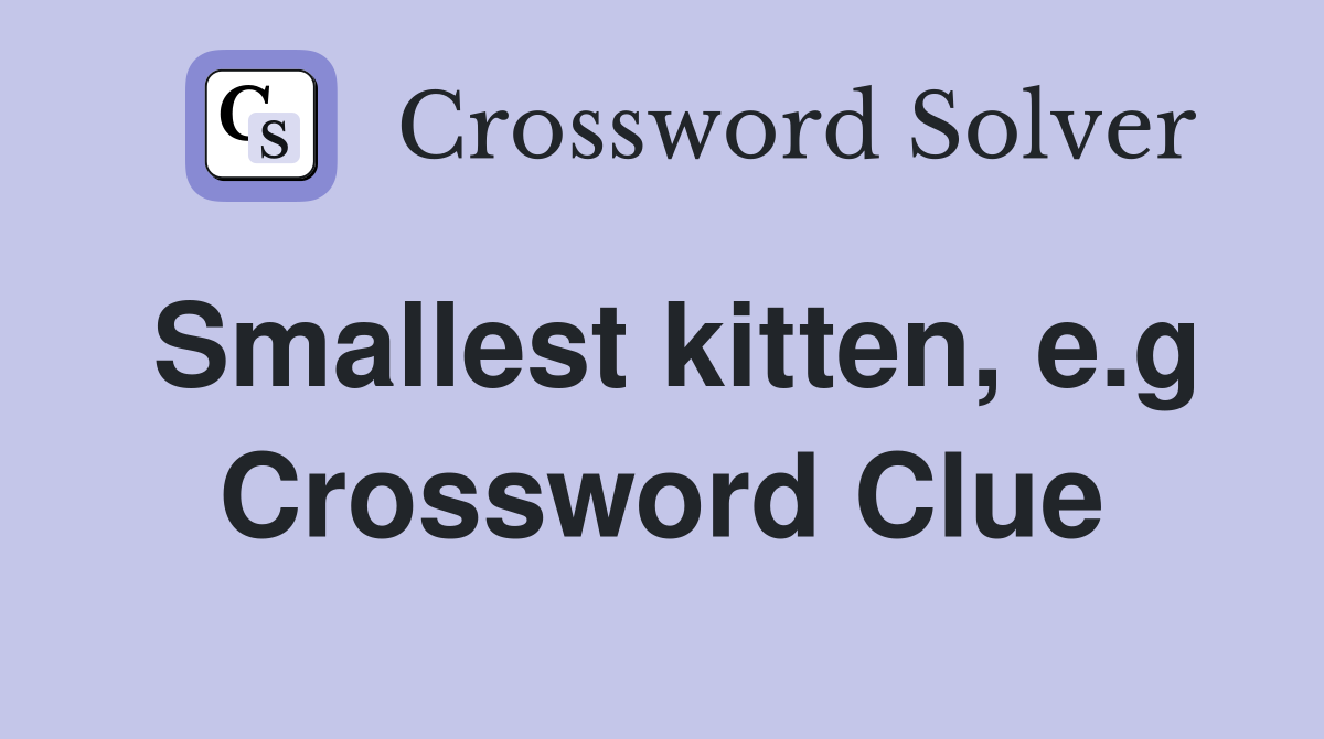 Smallest kitten, e.g Crossword Clue