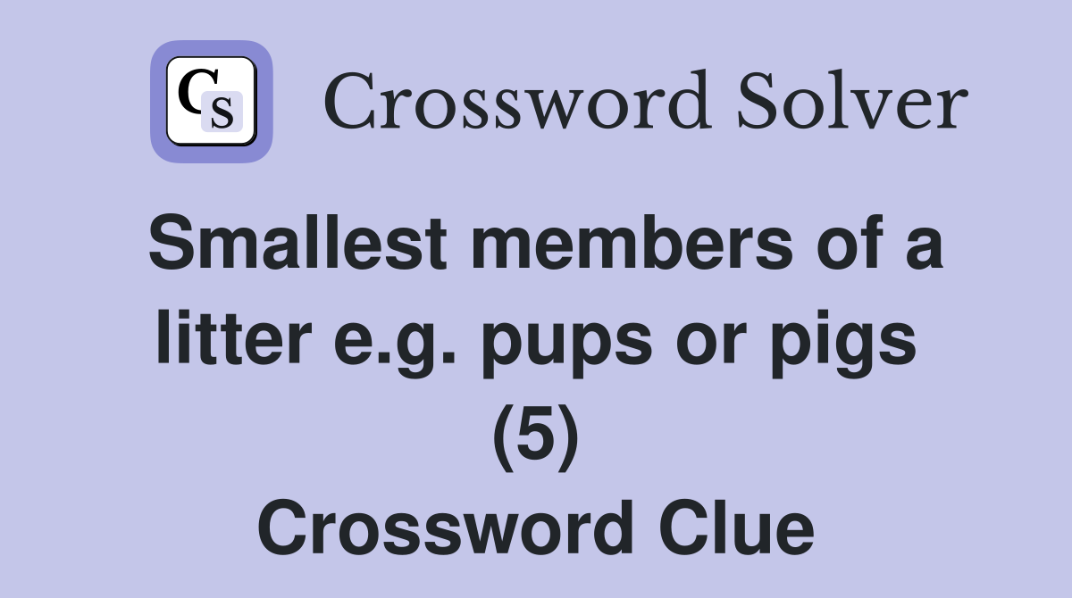 Smallest members of a litter e.g. pups or pigs (5) Crossword Clue