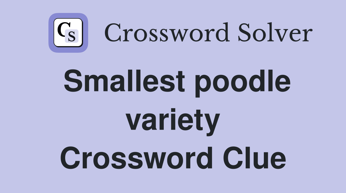 Smallest poodle variety Crossword Clue