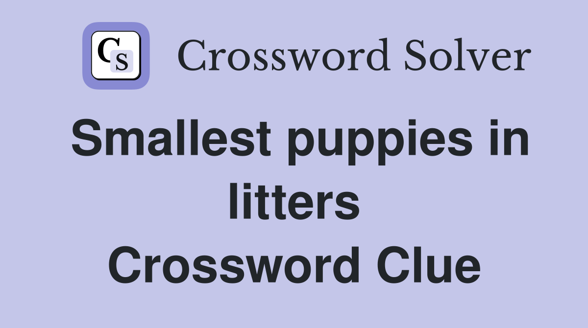 Smallest puppies in litters Crossword Clue