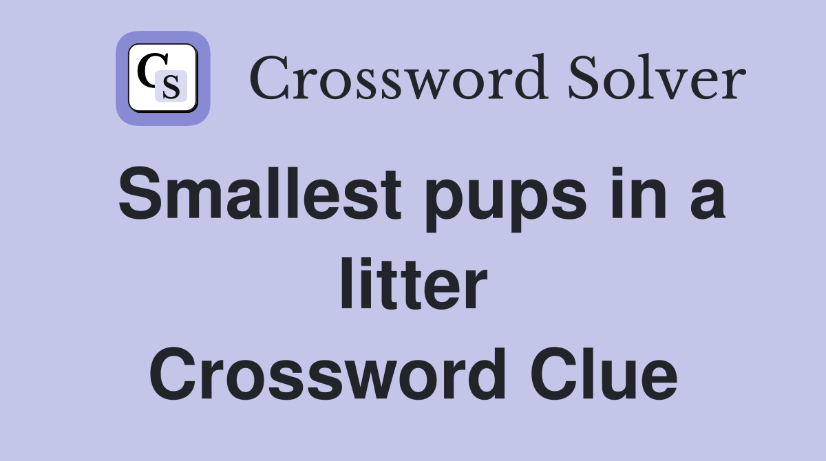 Smallest pups in a litter Crossword Clue