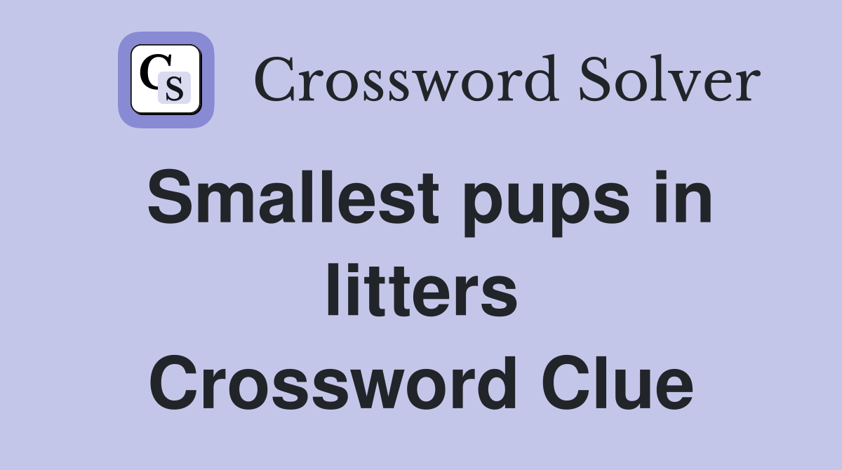 Smallest pups in litters Crossword Clue