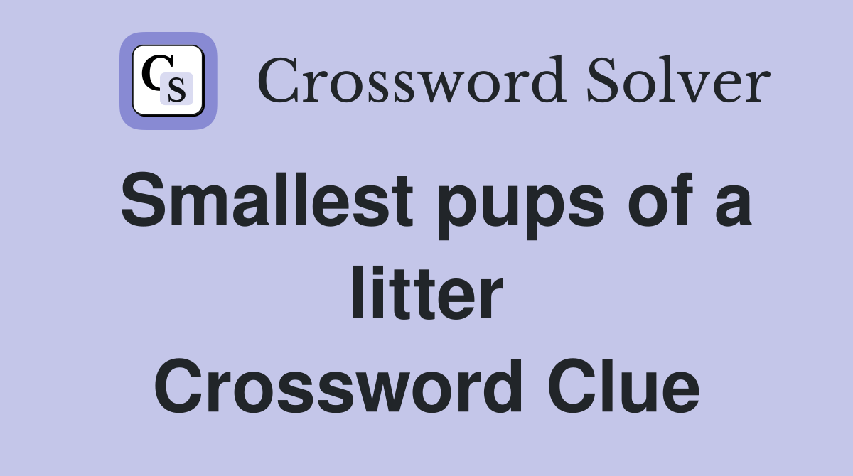 Smallest pups of a litter Crossword Clue