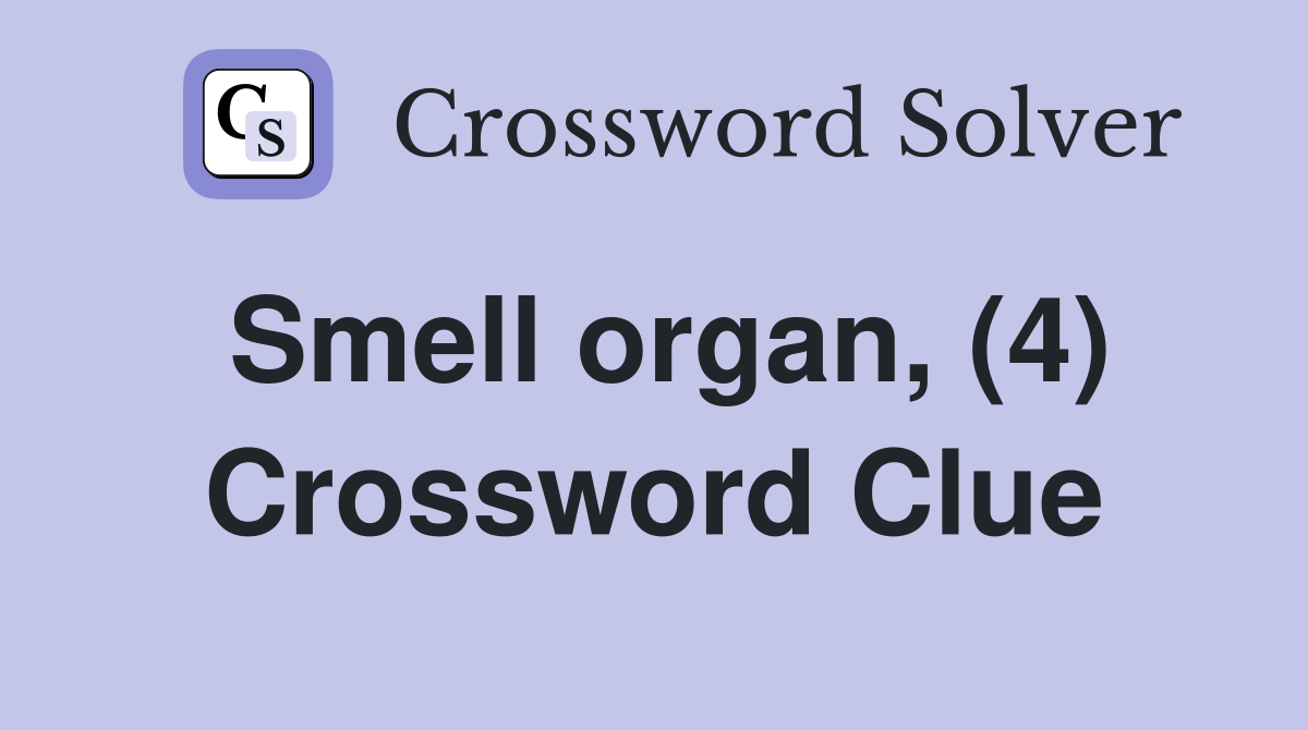Smell organ, (4) Crossword Clue
