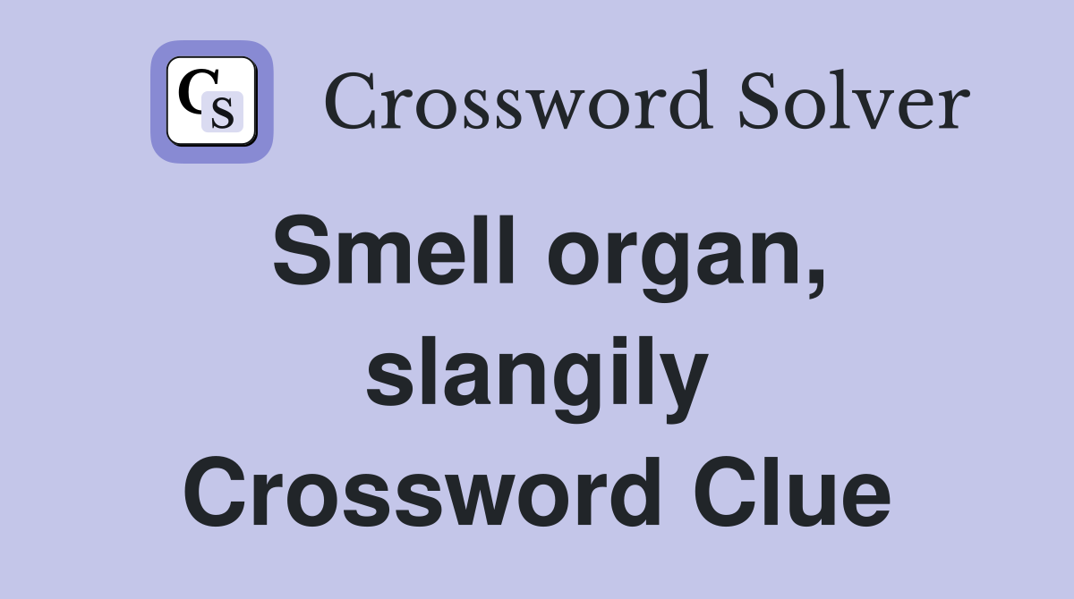 Smell organ, slangily Crossword Clue