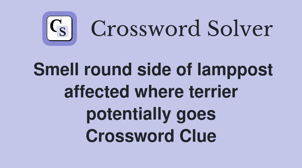 Smell round side of lamppost affected where terrier potentially goes Crossword Clue