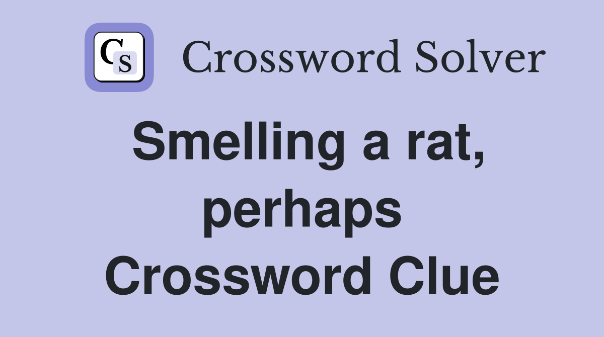 Smelling a rat, perhaps Crossword Clue