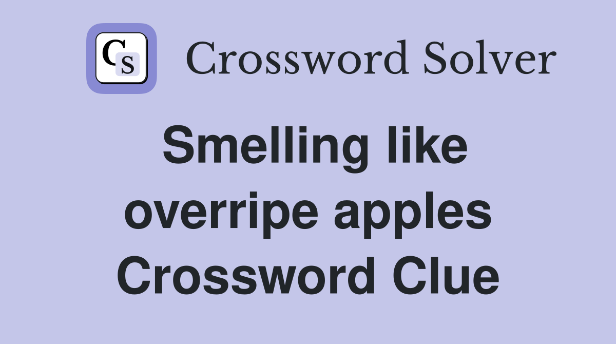 Smelling like overripe apples Crossword Clue
