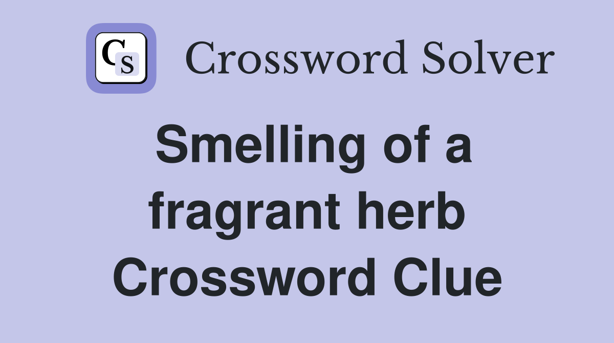 Smelling of a fragrant herb Crossword Clue