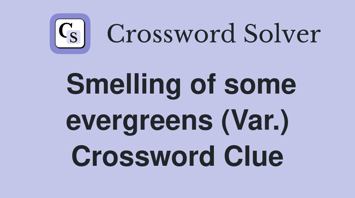 Smelling of some evergreens (Var.) Crossword Clue