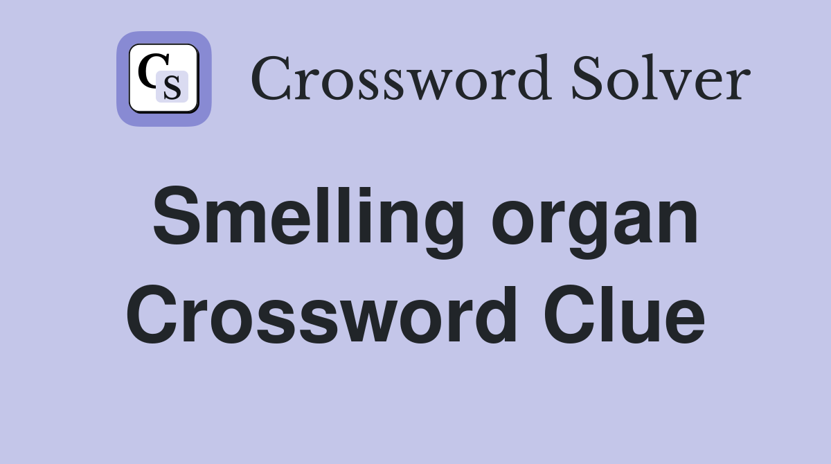 Smelling organ Crossword Clue