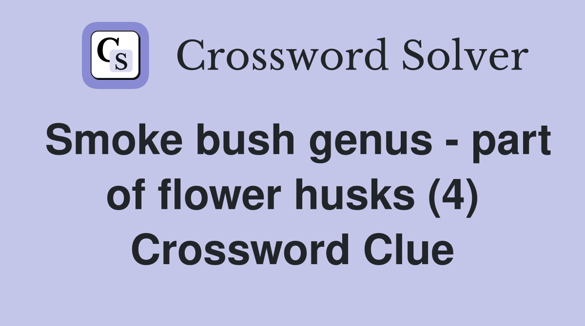 Smoke bush genus - part of flower husks (4) Crossword Clue