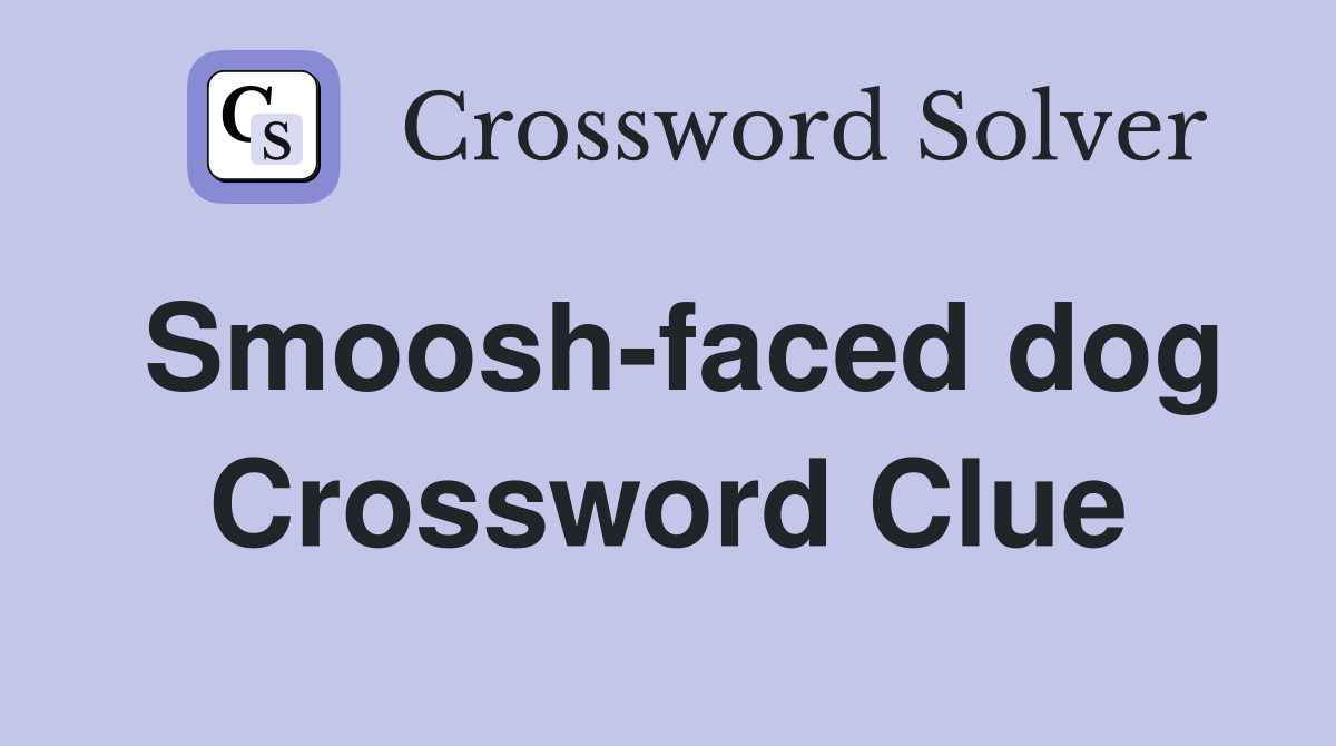 Smoosh-faced dog Crossword Clue