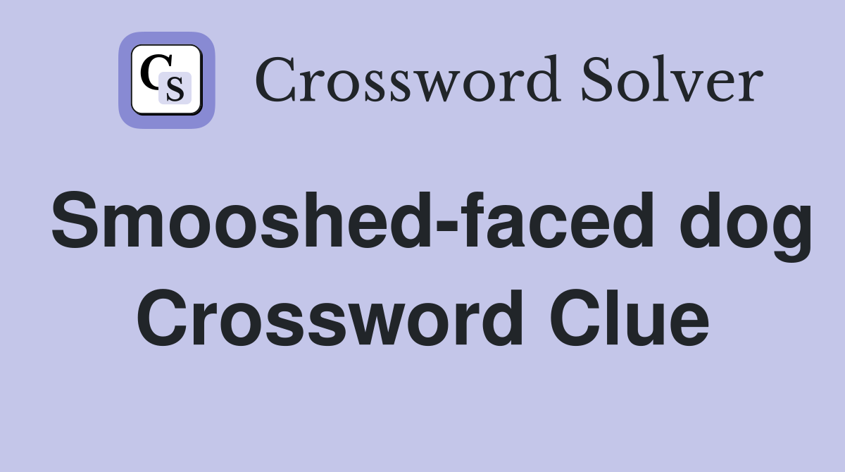 Smooshed-faced dog Crossword Clue