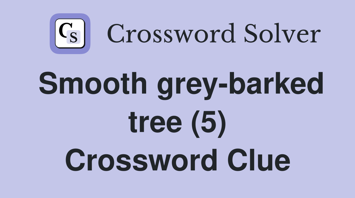 Smooth grey-barked tree (5) Crossword Clue