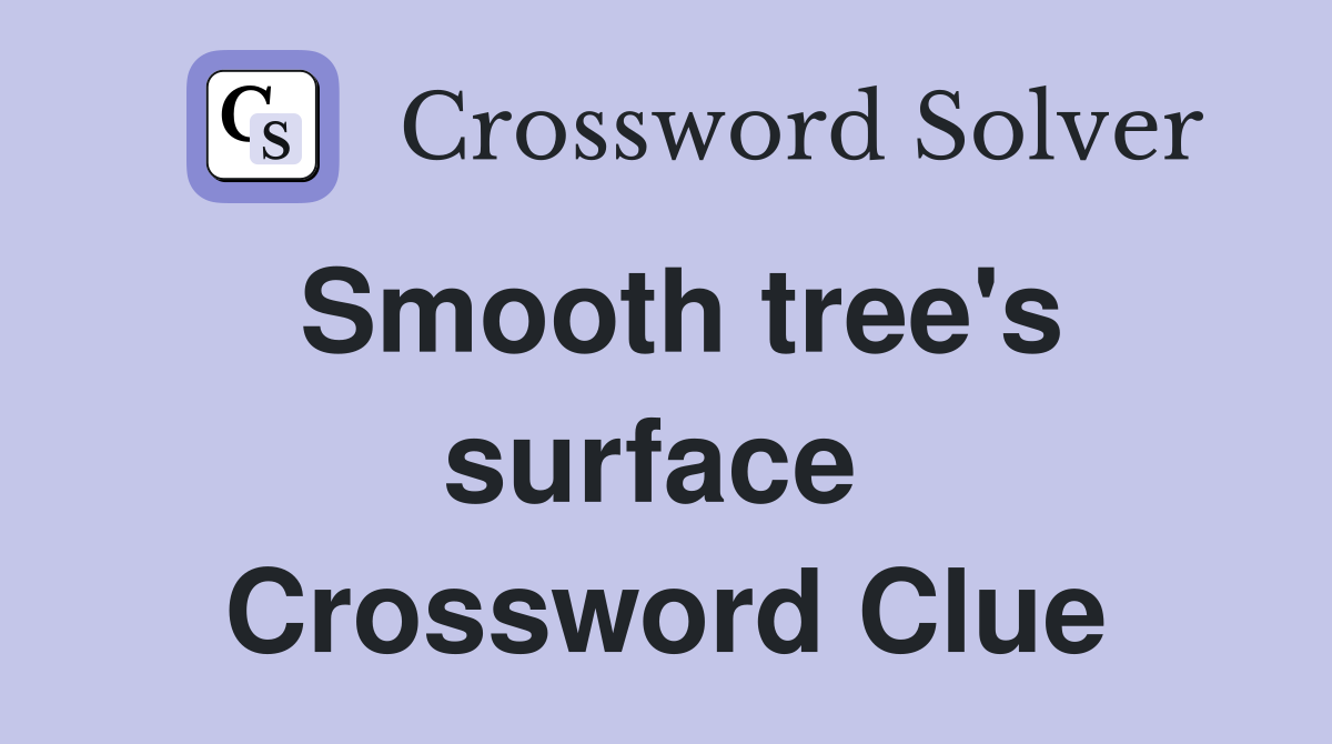 Smooth tree's surface  Crossword Clue
