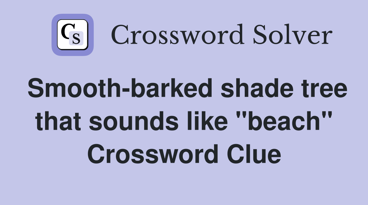 Smooth-barked shade tree that sounds like "beach" Crossword Clue