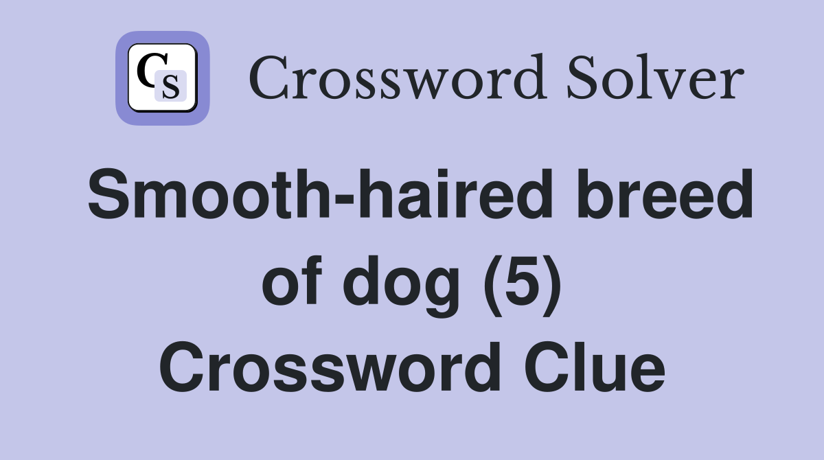 Smooth-haired breed of dog (5) Crossword Clue