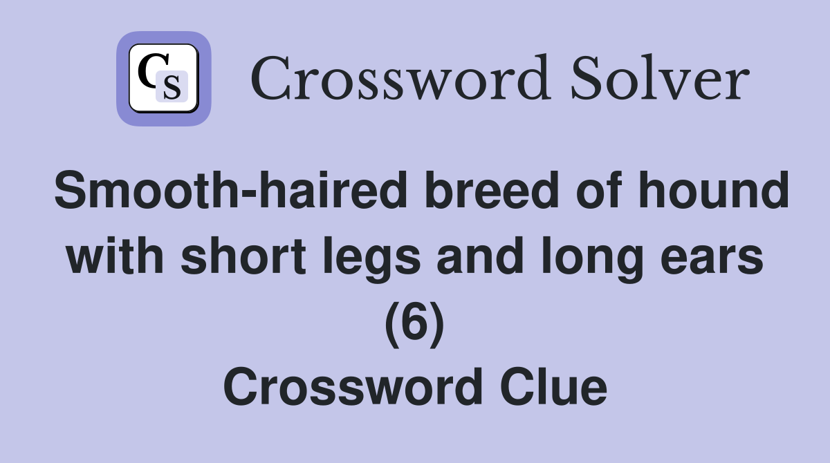 Smooth-haired breed of hound with short legs and long ears (6) Crossword Clue
