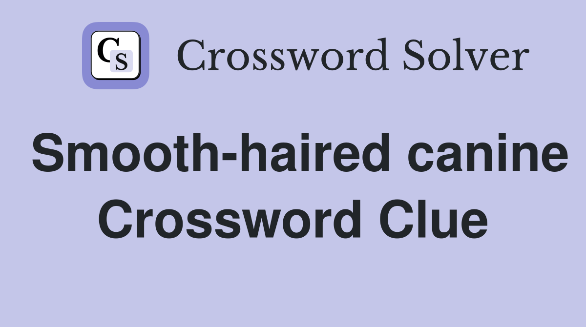 Smooth-haired canine Crossword Clue