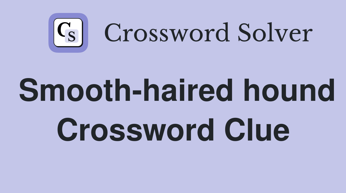 Smooth-haired hound Crossword Clue