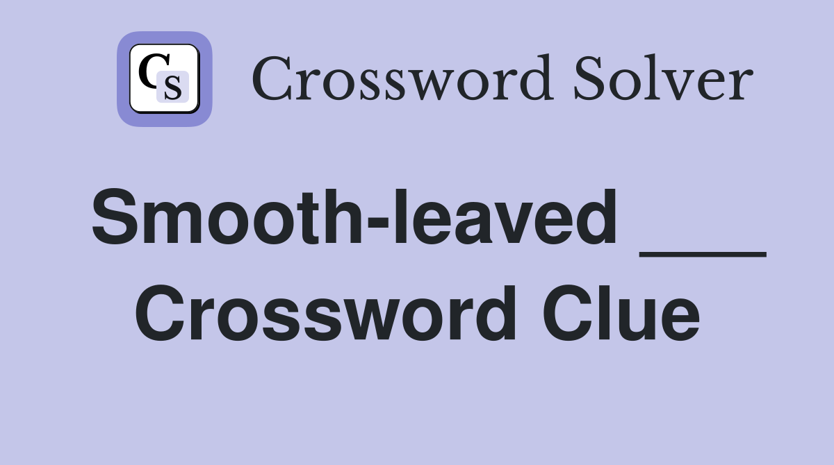 Smooth-leaved ___ Crossword Clue