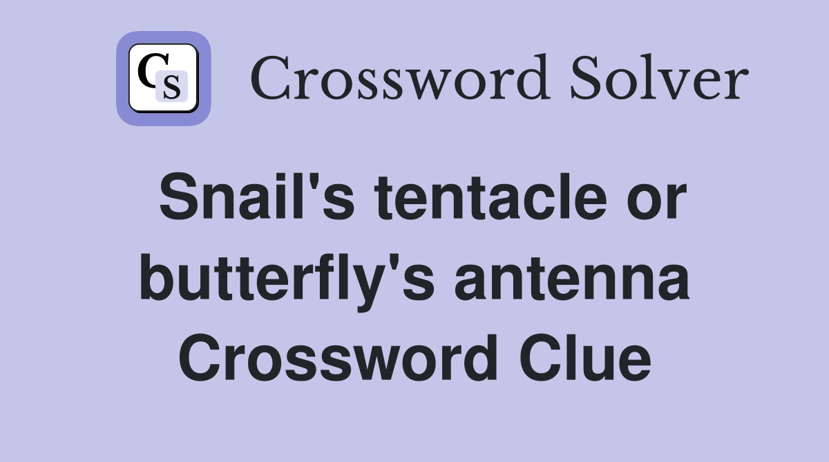 Snail's tentacle or butterfly's antenna Crossword Clue