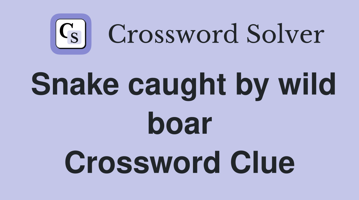 Snake caught by wild boar Crossword Clue