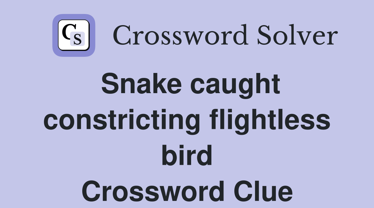 Snake caught constricting flightless bird Crossword Clue