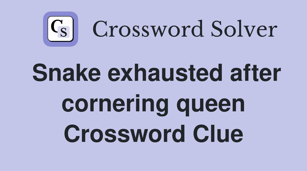 Snake exhausted after cornering queen Crossword Clue