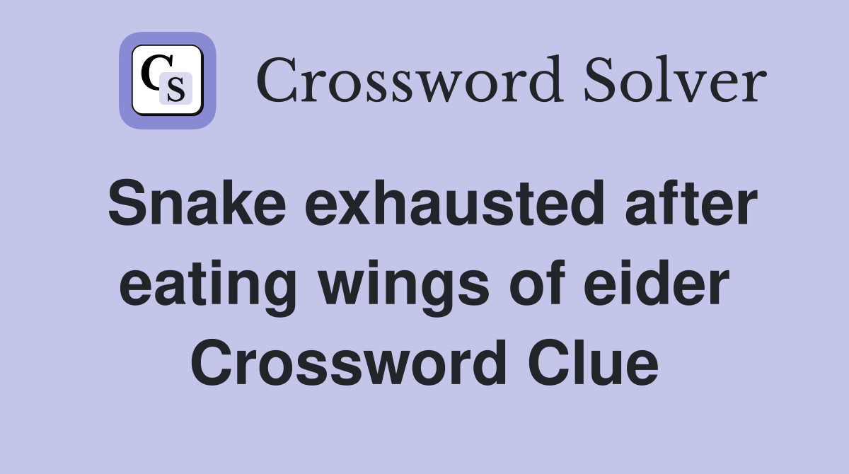 Snake exhausted after eating wings of eider Crossword Clue