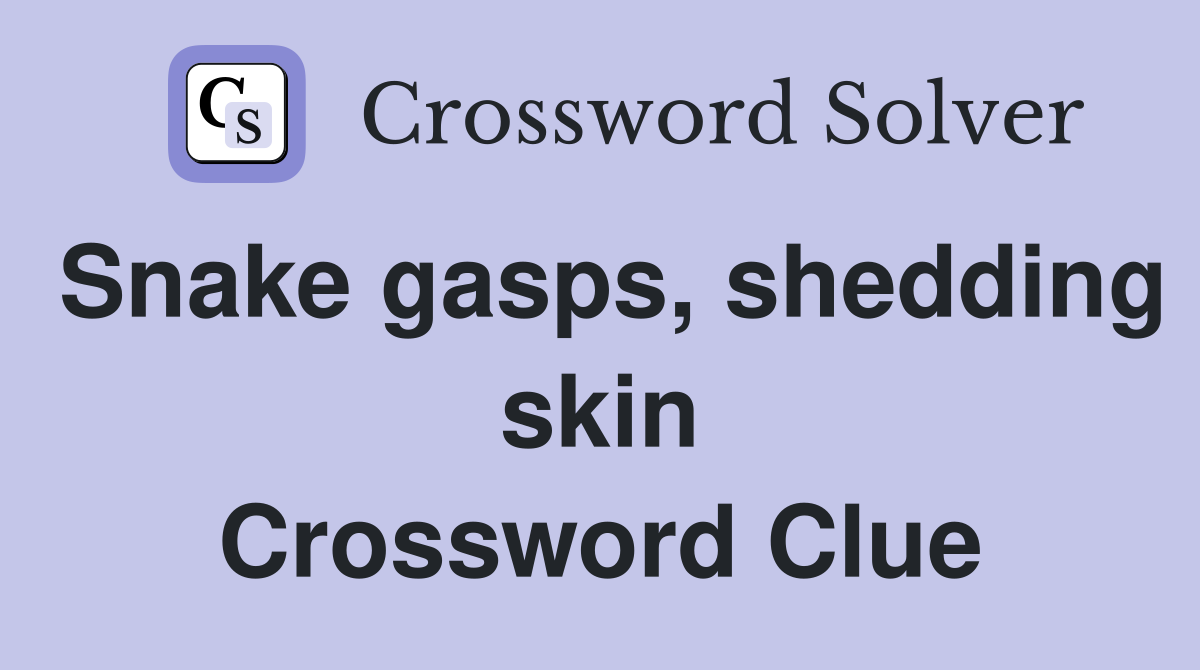 Snake gasps, shedding skin Crossword Clue