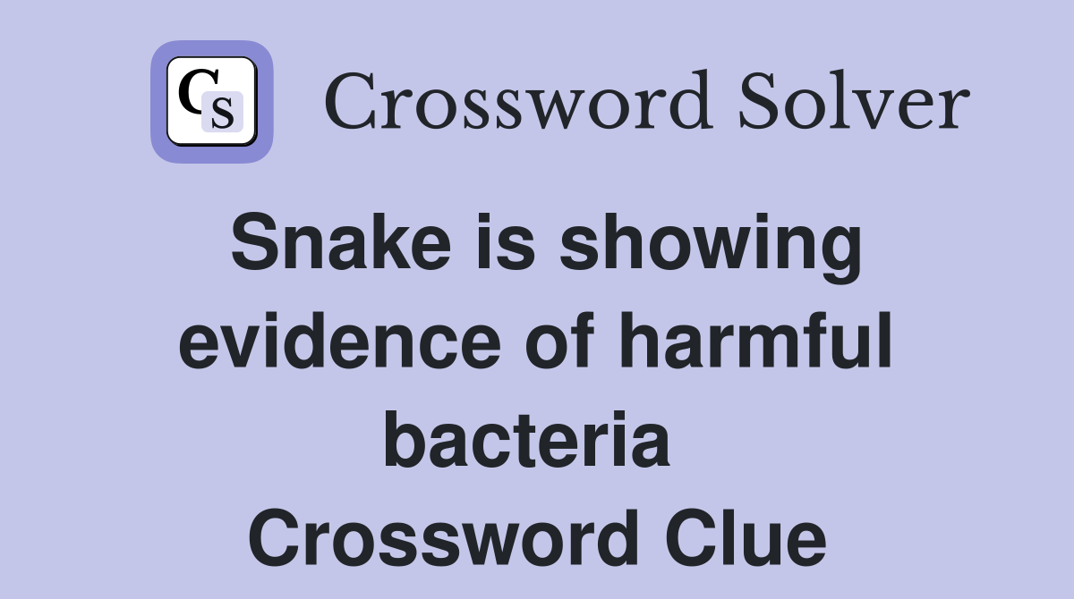 Snake is showing evidence of harmful bacteria  Crossword Clue