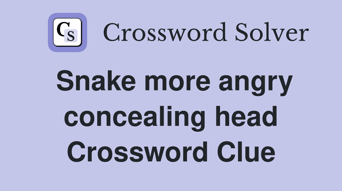 Snake more angry concealing head Crossword Clue