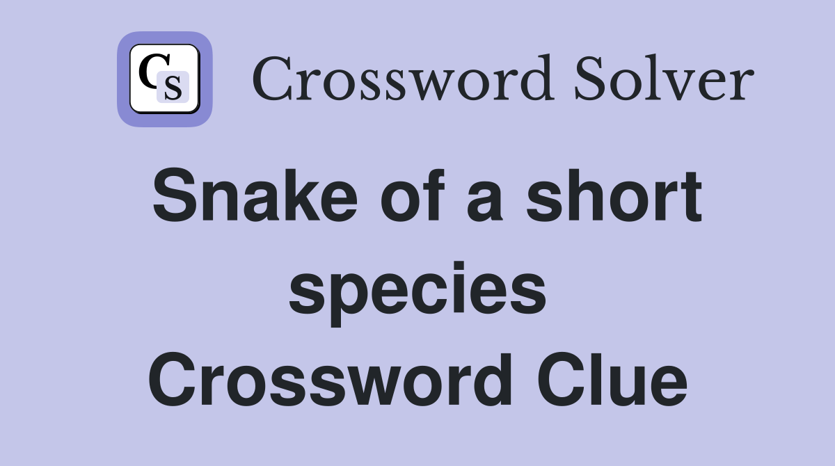 Snake of a short species Crossword Clue