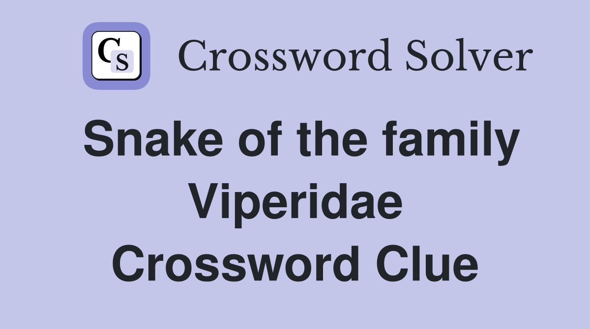 Snake of the family Viperidae Crossword Clue
