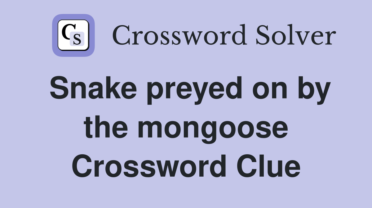 Snake preyed on by the mongoose Crossword Clue