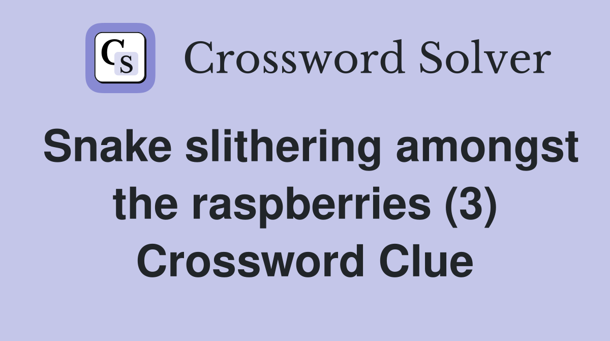 Snake slithering amongst the raspberries (3) Crossword Clue