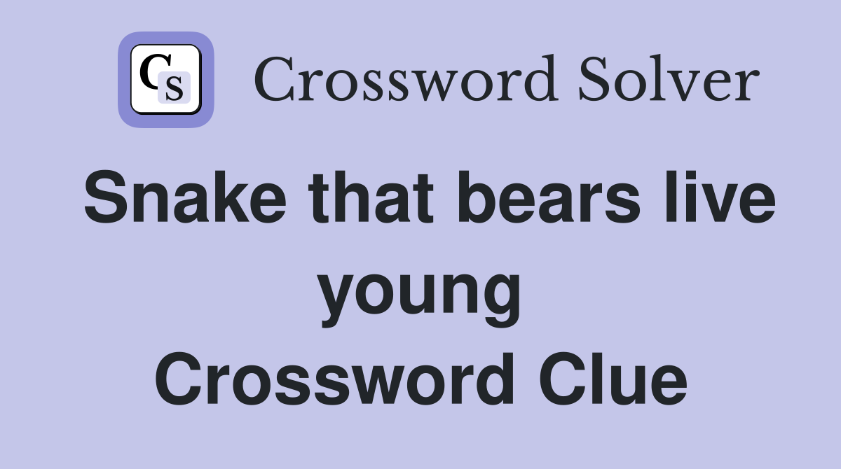 Snake that bears live young Crossword Clue