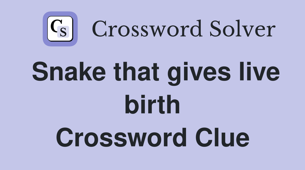 Snake that gives live birth Crossword Clue